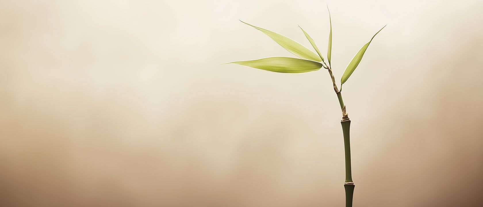 Один высокий бамбуковый стебель Один высокий бамбуковый стебель изящно изгибается на ветру, символизируя упругость и гибкость.